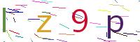 Verify Code