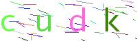 Verify Code