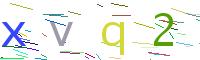 Verify Code