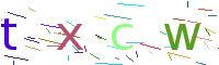 Verify Code