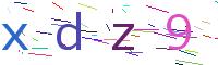 Verify Code