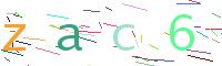 Verify Code