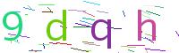 Verify Code