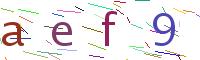 Verify Code