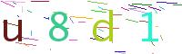 Verify Code