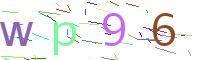 Verify Code