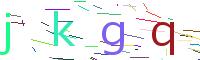Verify Code
