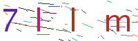 Verify Code