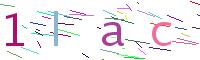 Verify Code