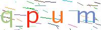 Verify Code