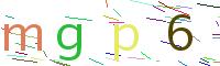 Verify Code