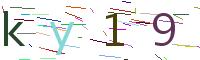 Verify Code