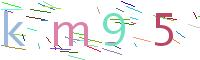 Verify Code