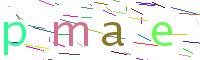 Verify Code