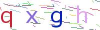 Verify Code