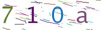 Verify Code