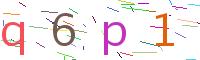 Verify Code