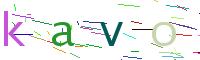 Verify Code