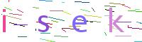 Verify Code