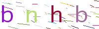 Verify Code