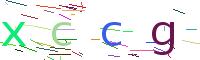 Verify Code