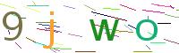 Verify Code