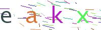 Verify Code