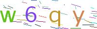 Verify Code