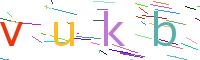Verify Code