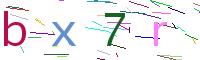 Verify Code