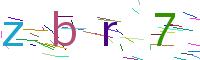 Verify Code