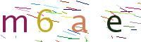 Verify Code