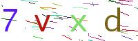 Verify Code