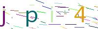 Verify Code